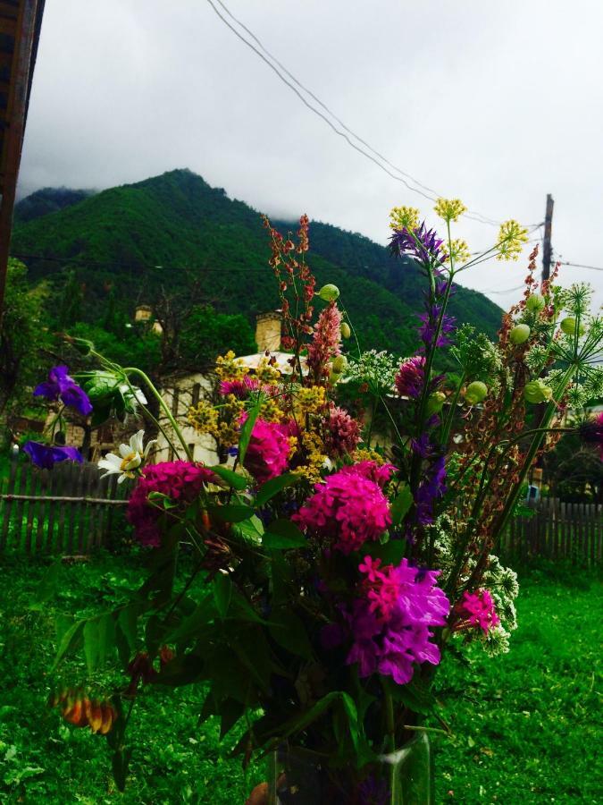 Manana Japaridze'S Guesthouse Mestia Dış mekan fotoğraf